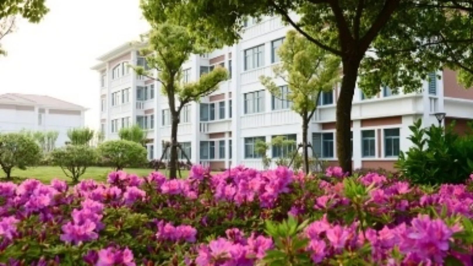 Teach Abroad in Shanghai!