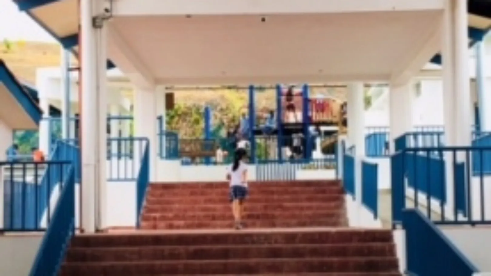 International School of Panama: Where Learning is an Adventure