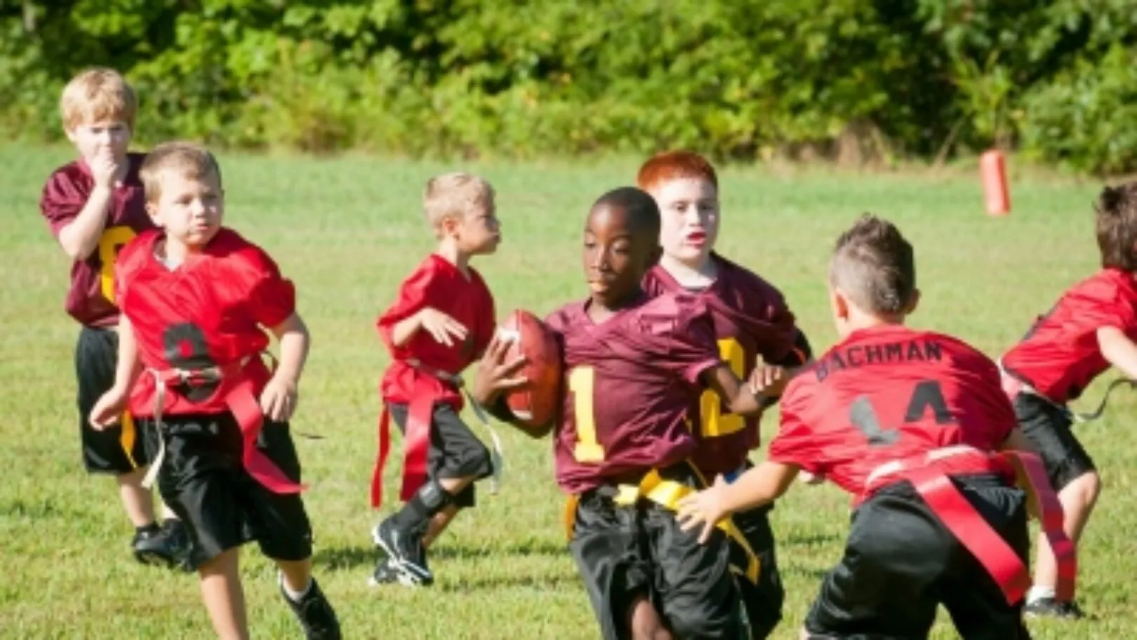 School Sports: Concussion Management