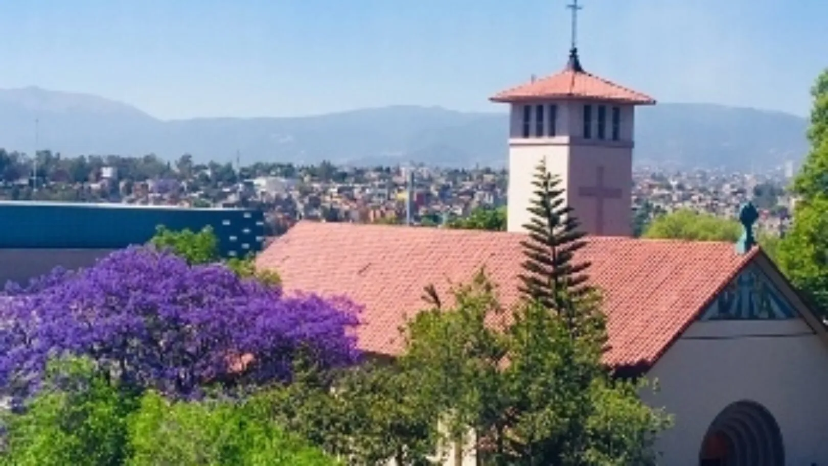 The Oasis of ASF Mexico City