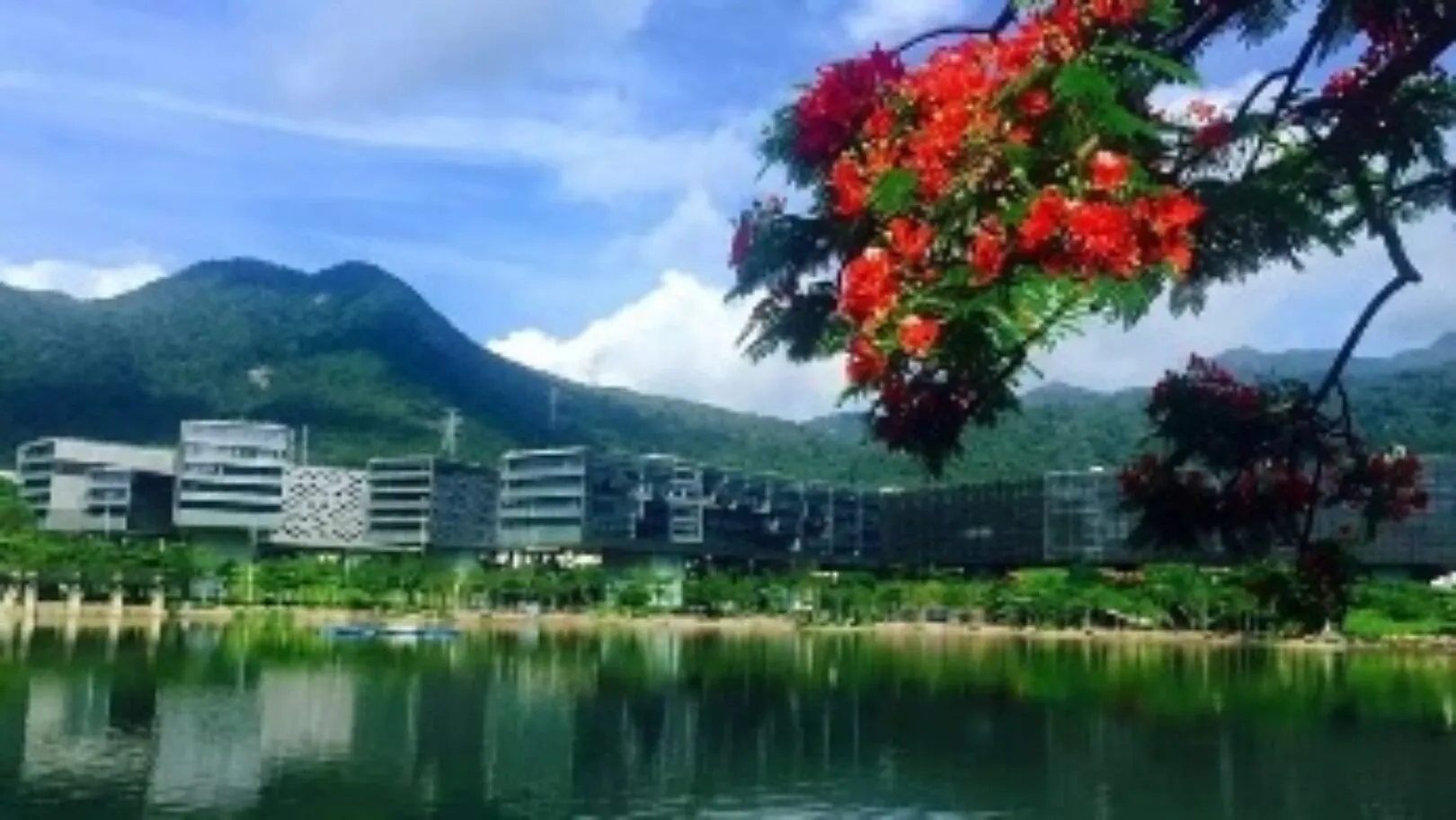 Overseas Teaching Vacancies in Shenzhen