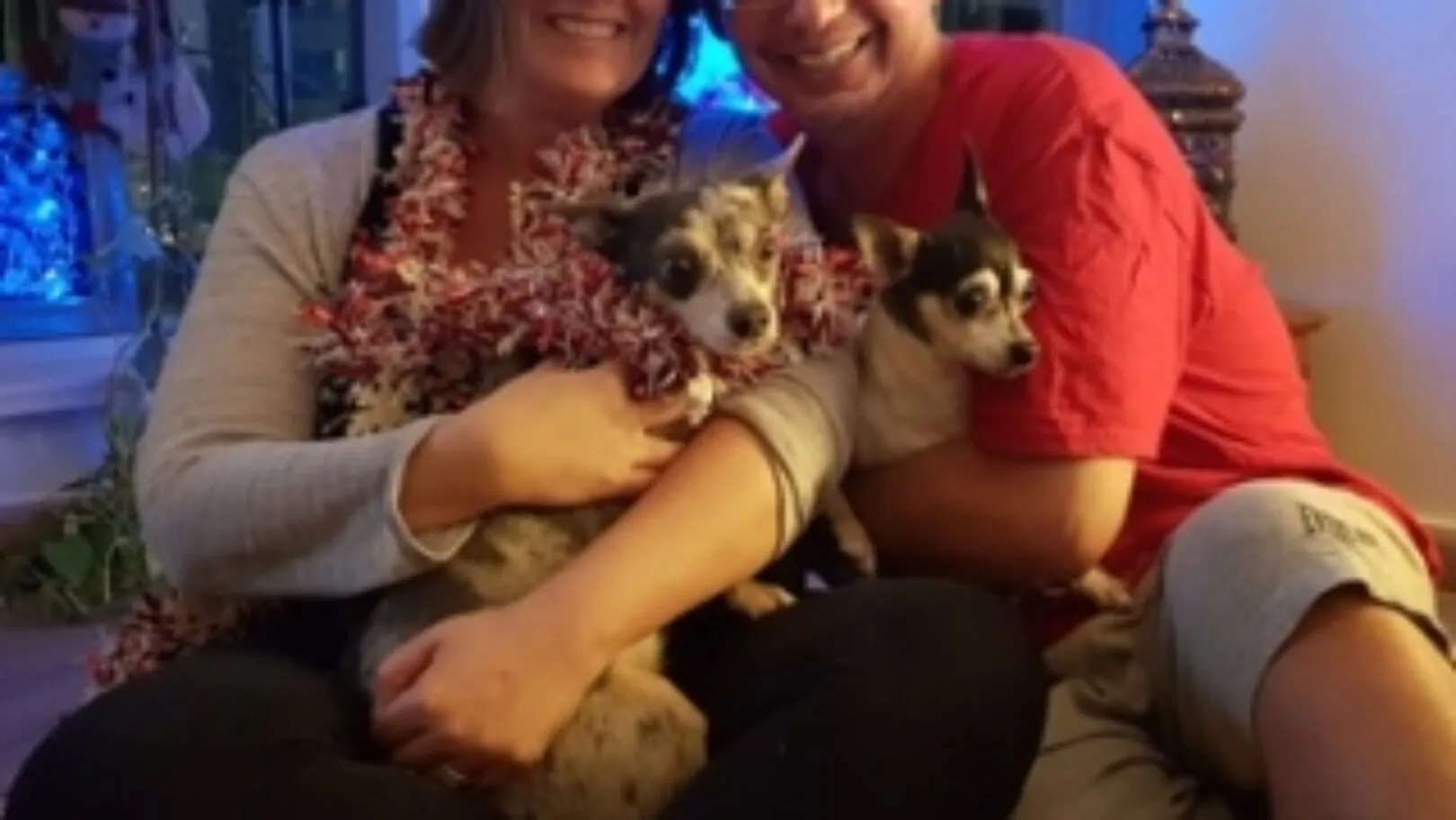 Teaching Couple with Chihuahuas Bound for China