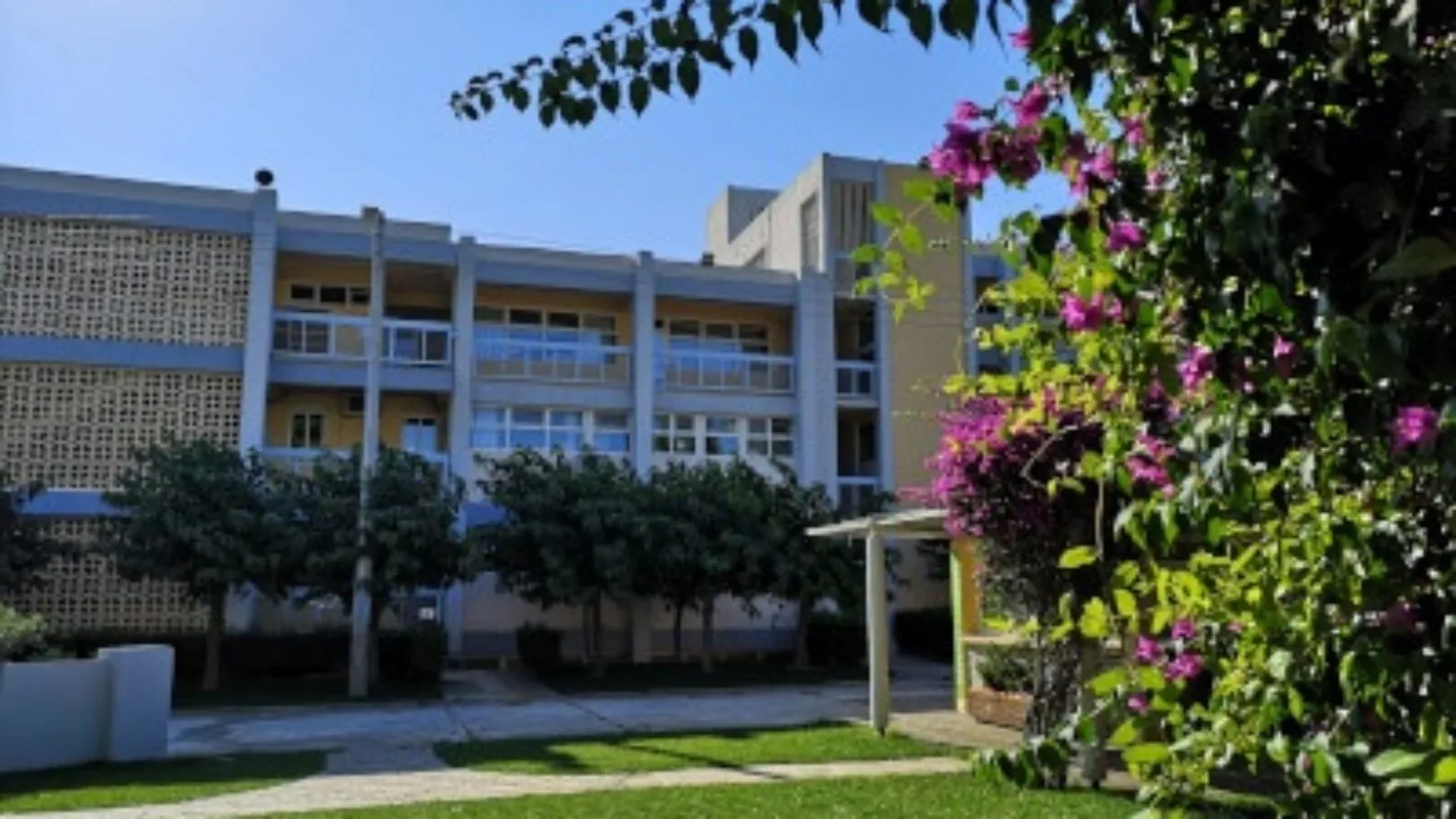 Teach Abroad at ACS Athens: A Blend of Innovation, Tradition, and Cultural Enrichment