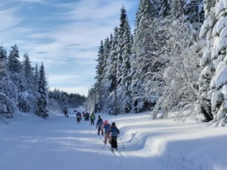 Teaching at Tromsø International School, Northern Norway